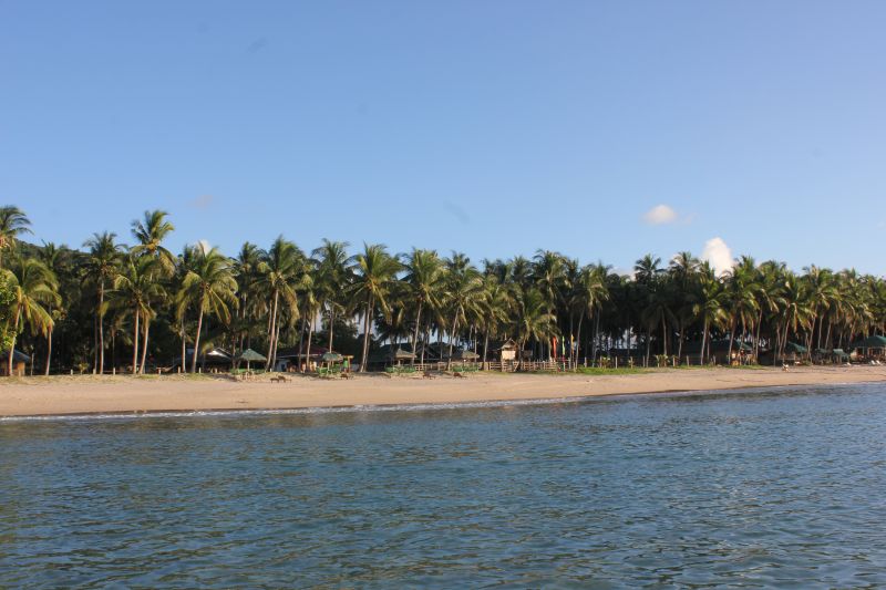 IMG_9006~1.JPG
