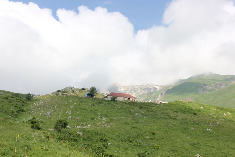 IMG_9319~3.JPG
