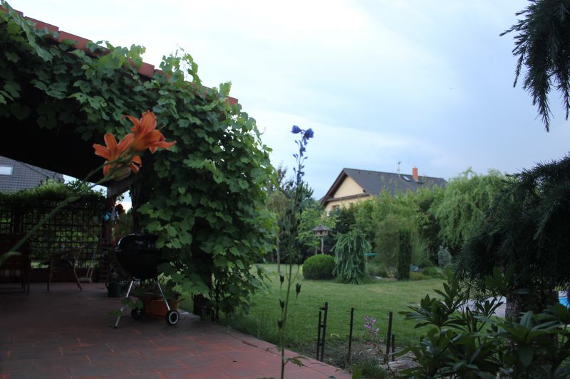 IMG_9329~1.JPG