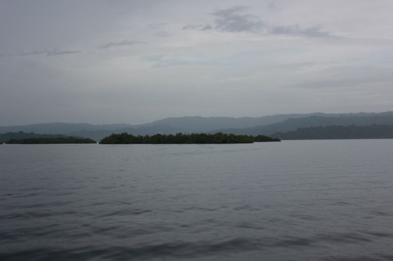 IMG_9354~1.JPG