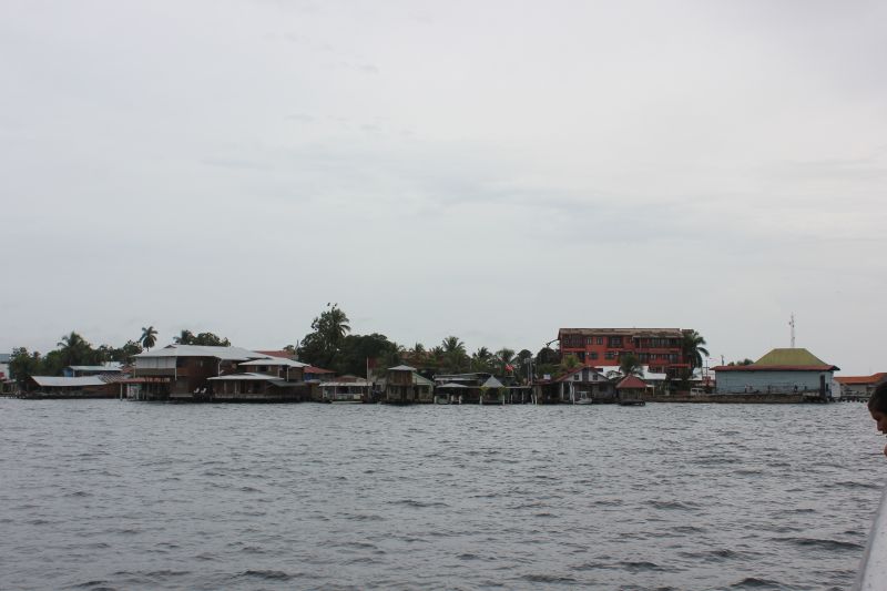 IMG_9358~1.JPG