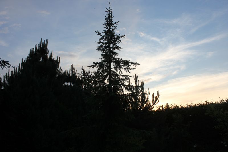 IMG_9383~2.JPG