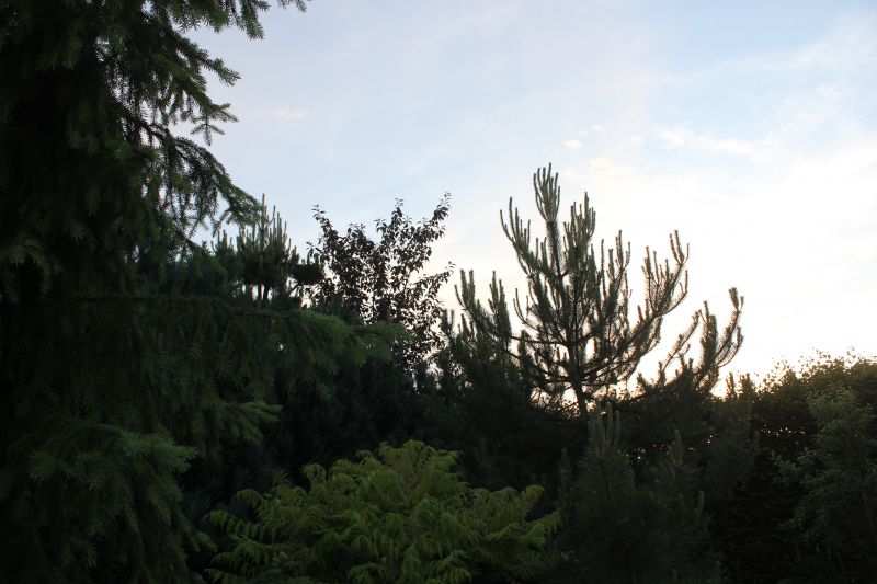 IMG_9386~3.JPG