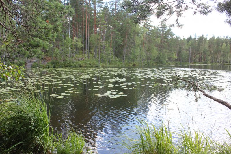 IMG_9407~1.JPG
