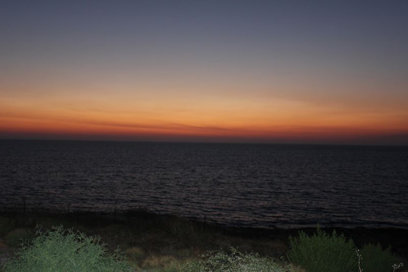 IMG_9419.JPG
