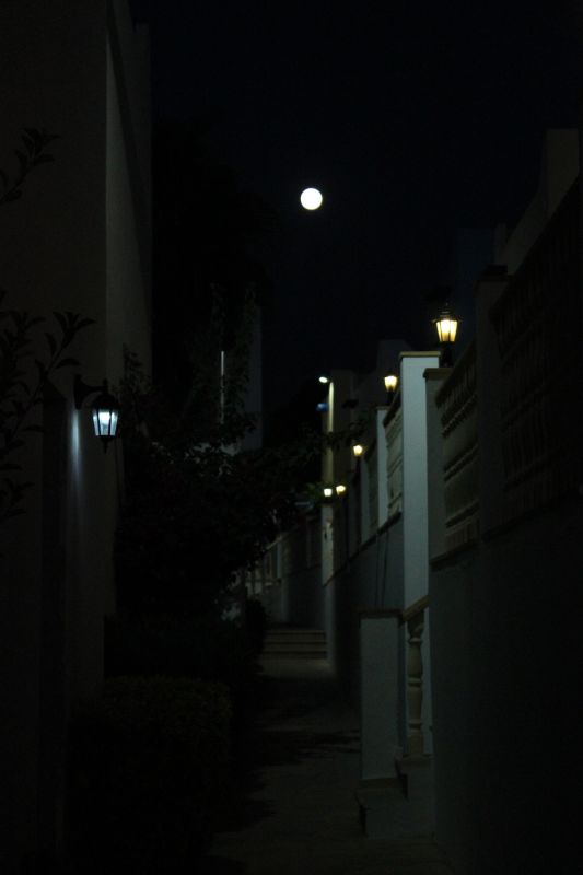 IMG_9424.JPG
