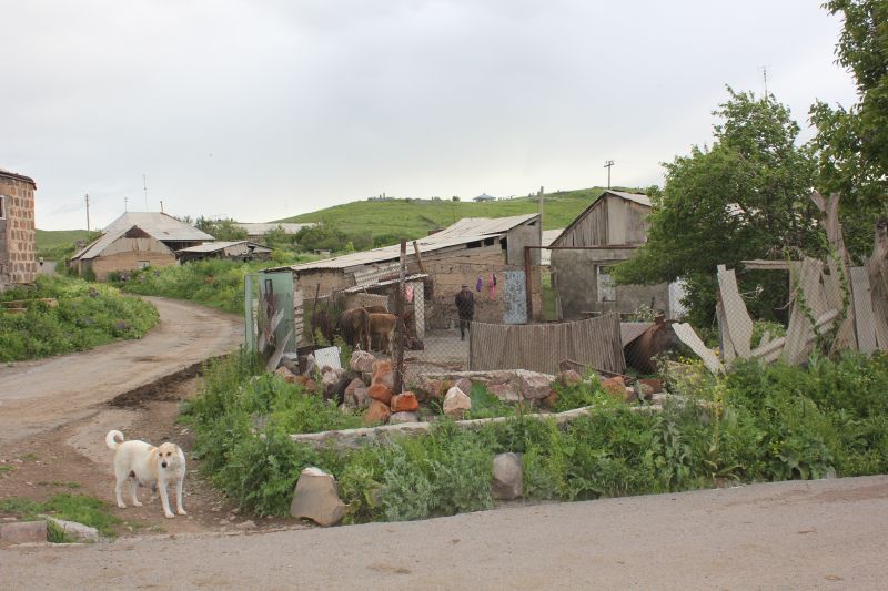 Sevaberd
