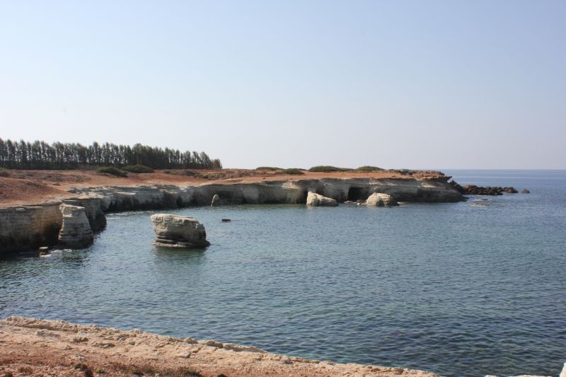 IMG_9443.JPG