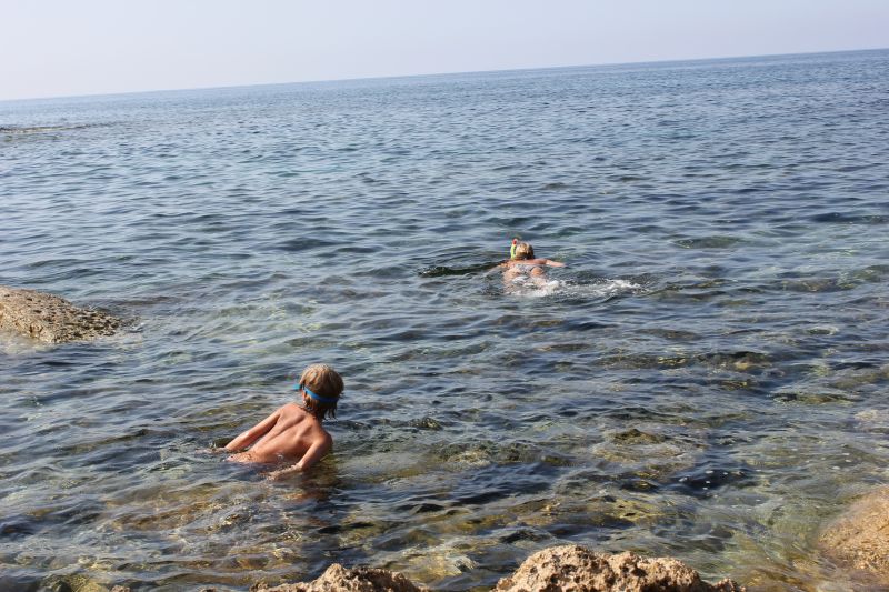 IMG_9447.JPG