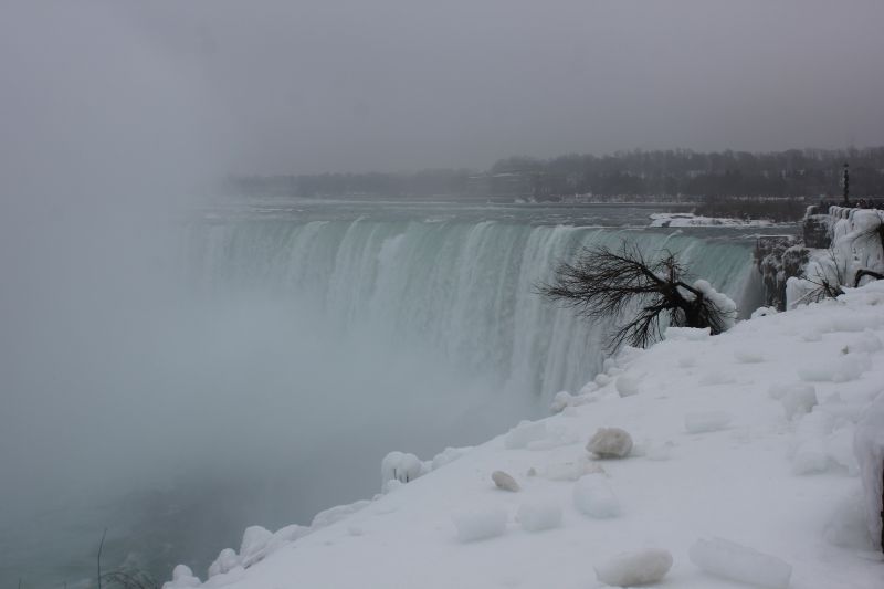 IMG_9462~4.JPG
