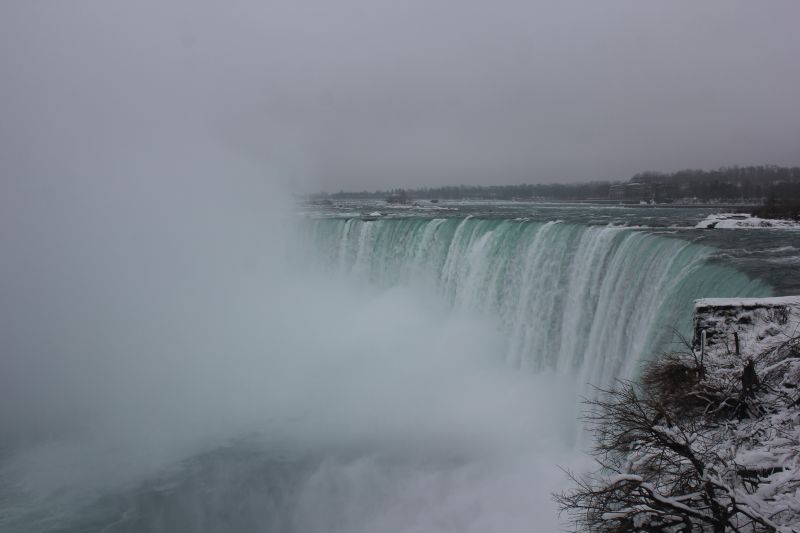 IMG_9481~4.JPG