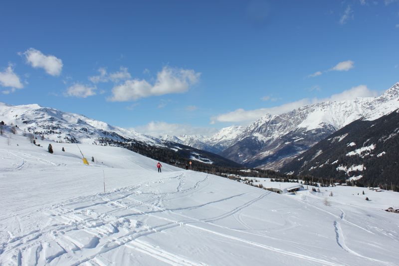 IMG_9482~1.JPG