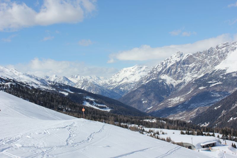IMG_9484~1.JPG