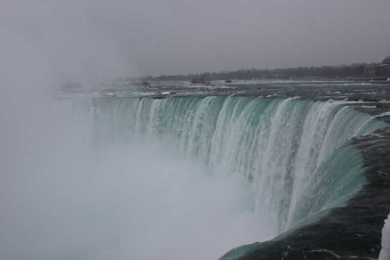IMG_9498~3.JPG