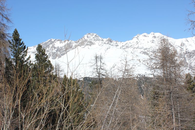 IMG_9500~0.JPG