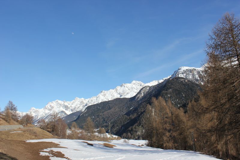 IMG_9504~1.JPG