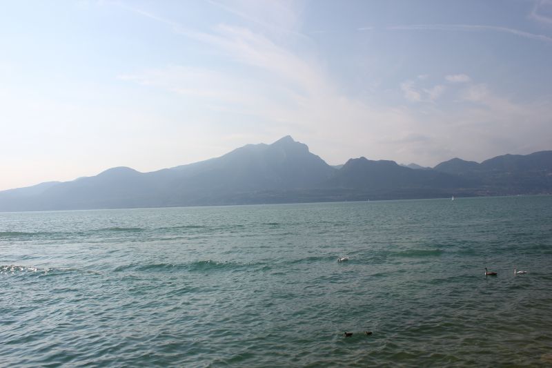 IMG_9508.JPG