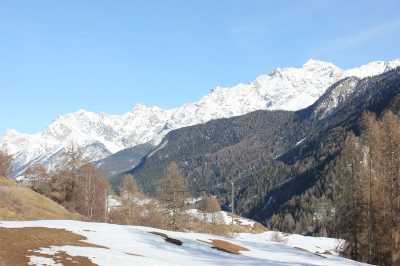 IMG_9509~1.JPG