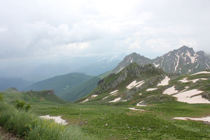 IMG_9530~4.JPG