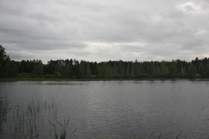 IMG_9531~2.JPG