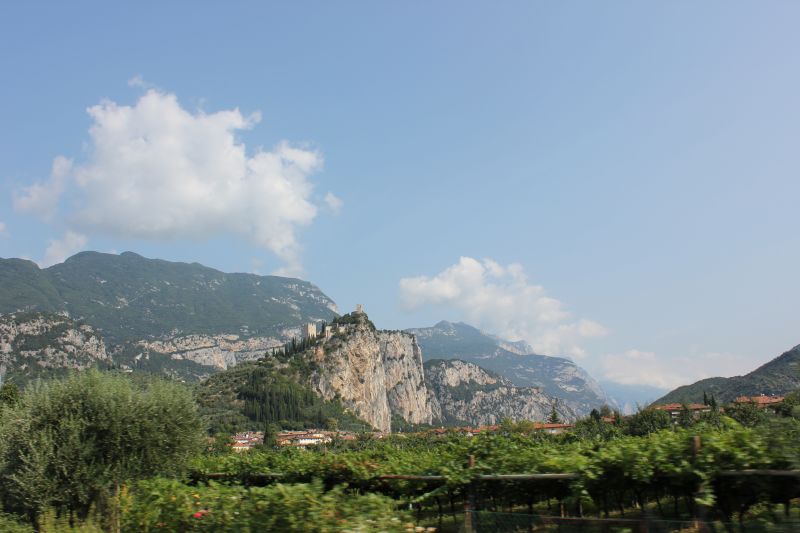 IMG_9583.JPG