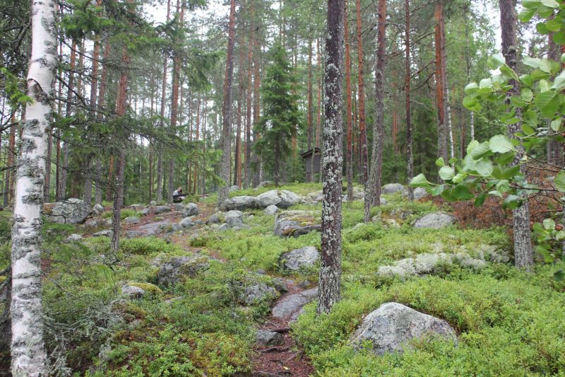 IMG_9602~2.JPG