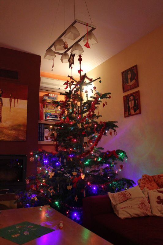 IMG_9609~1.JPG