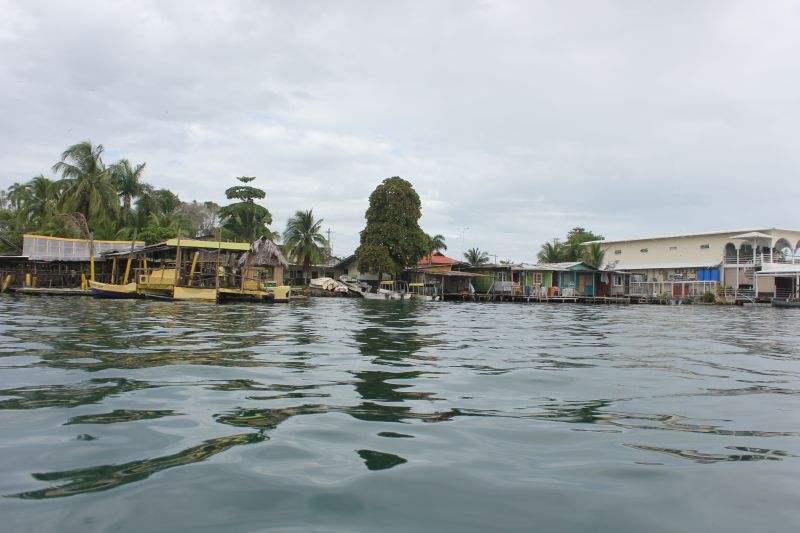 IMG_9646~0.JPG