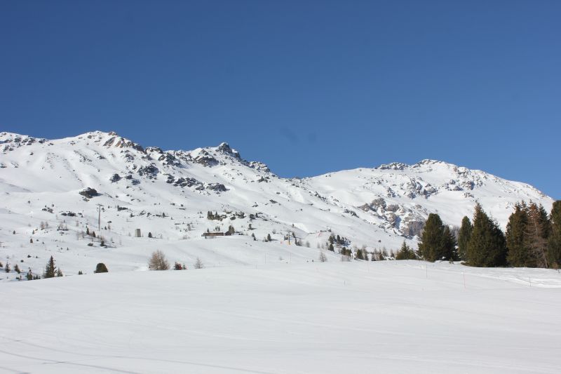 IMG_9692~2.JPG