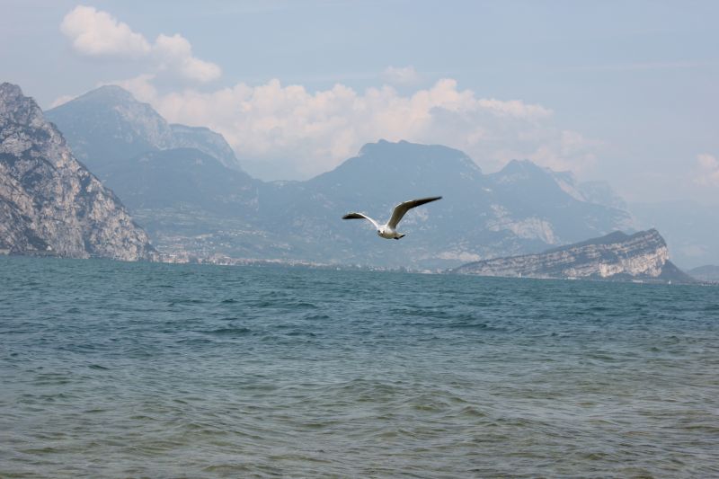 IMG_9698.JPG