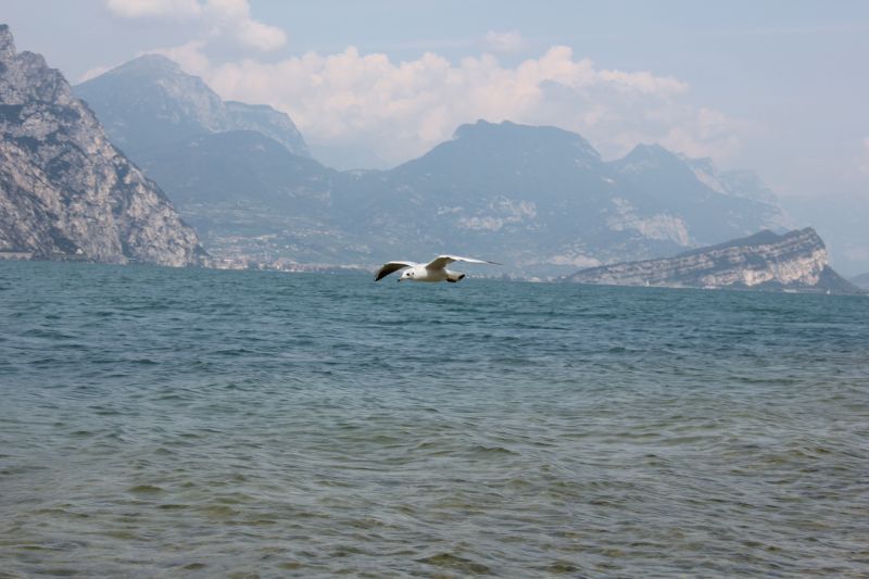IMG_9699.JPG