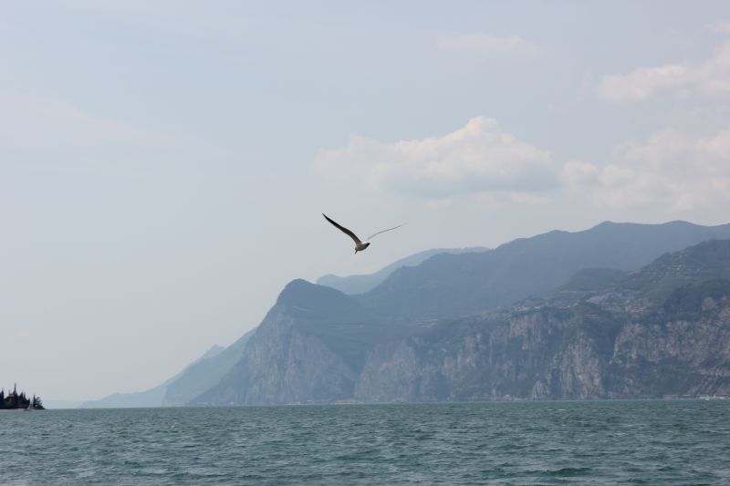 IMG_9714.JPG