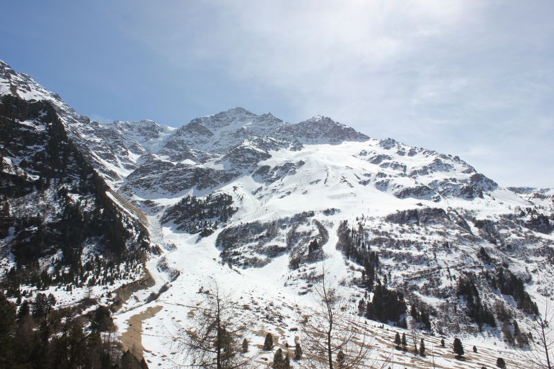 IMG_9747~2.JPG