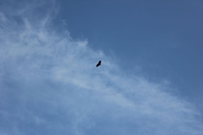 IMG_9866~3.JPG