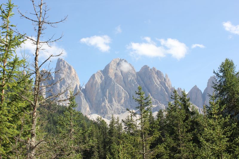 IMG_9874.JPG
