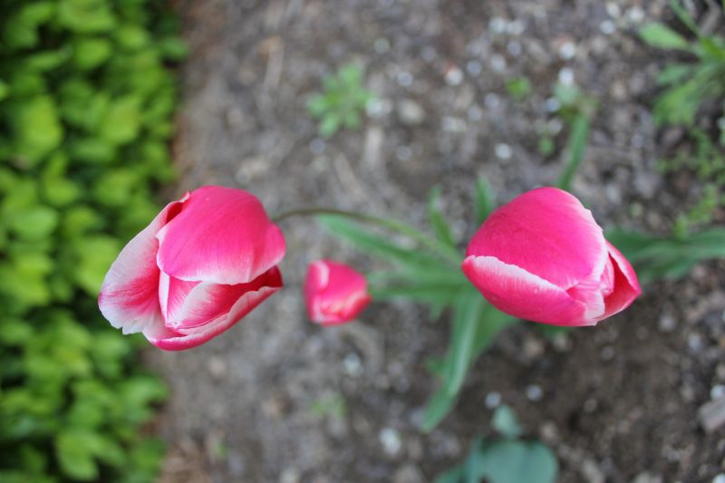 IMG_9875.JPG