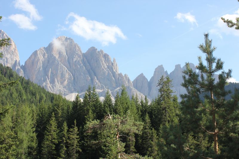 IMG_9878.JPG
