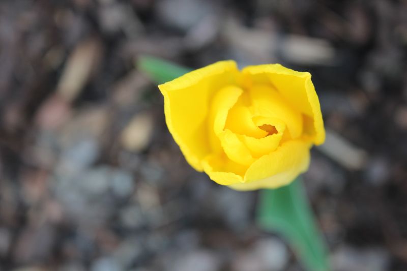 IMG_9879.JPG