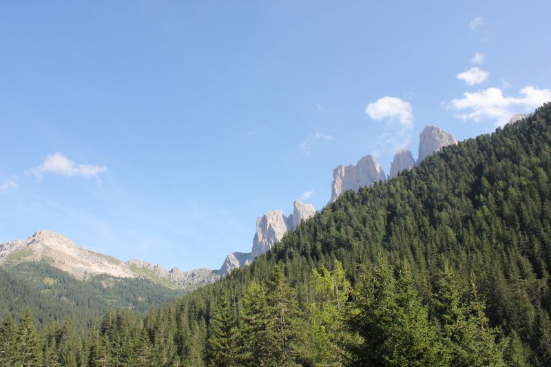 IMG_9880.JPG