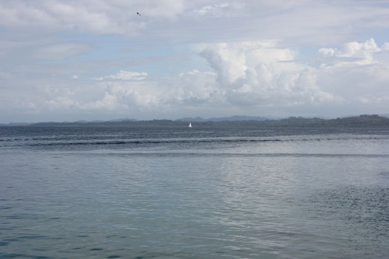 IMG_9885~3.JPG
