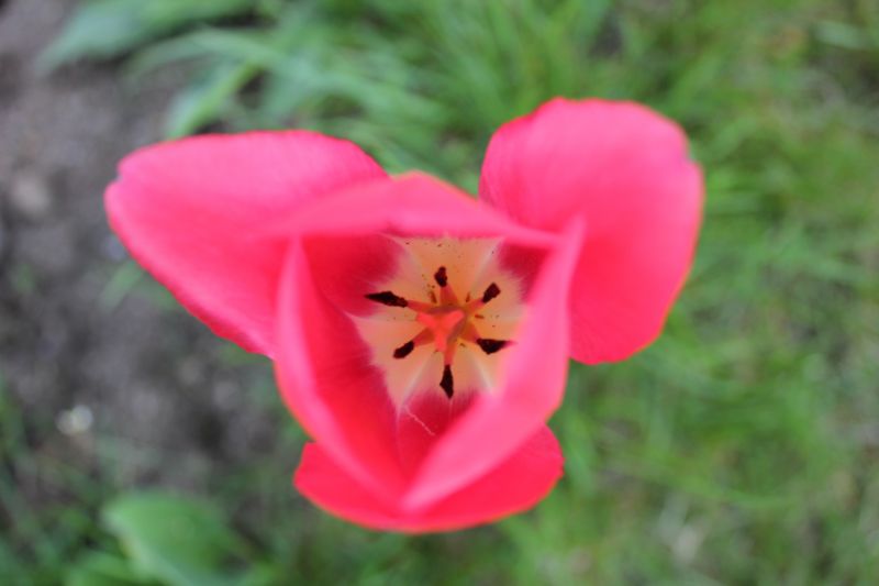 IMG_9895.JPG