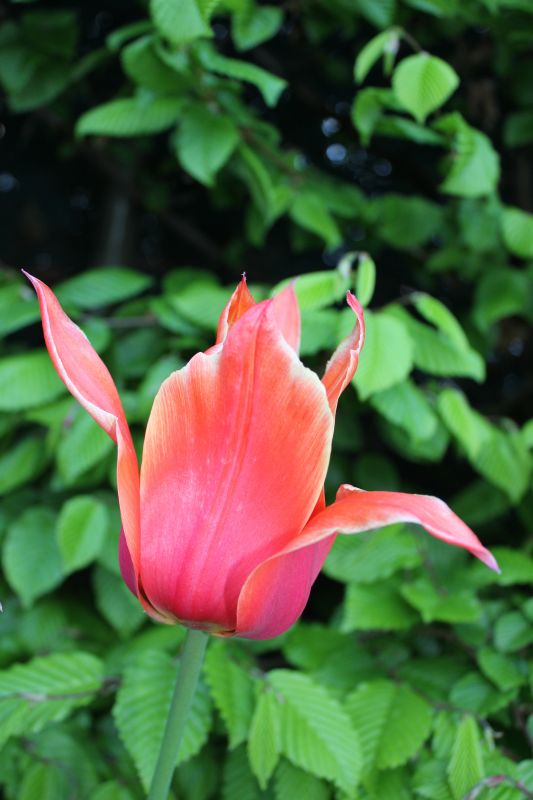 IMG_9901~1.JPG
