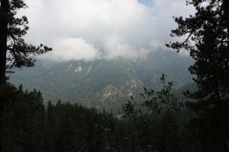 IMG_9953.JPG