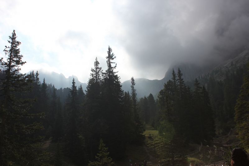 IMG_9978.JPG