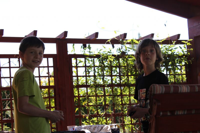 IMG_9981~1.JPG