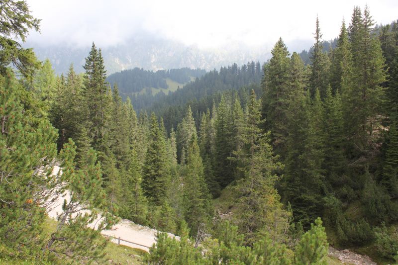 IMG_9986.JPG