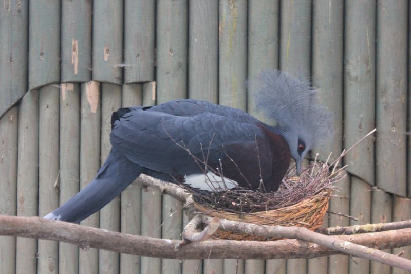 JIMG_0001_281129.JPG