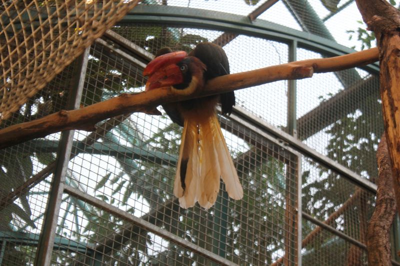 JIMG_0001_28129.JPG
