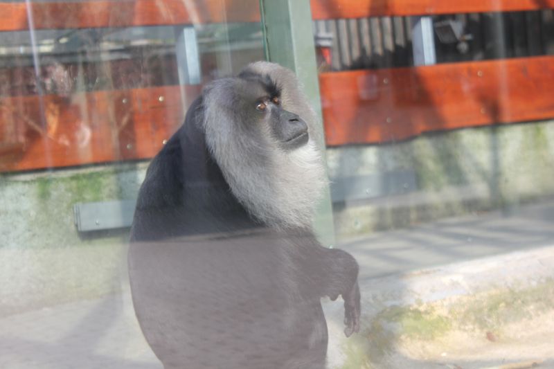 JIMG_0001_282529.JPG