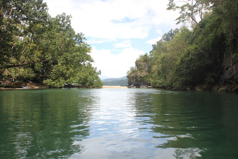JIMG_0001_283629.JPG